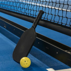 Play pickle ball in Dev's Sports Academy